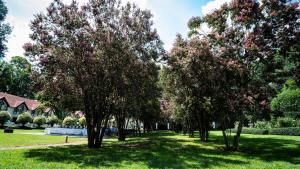 Gallery image of River Meadow Manor in Centurion