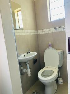 un baño con inodoro y lavabo en Selamu Accommodations, en Windhoek 8 fotos más