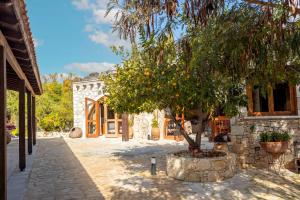 an orange tree in a pot in front of a building at Casale Xenia in Lyso