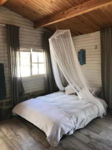 una camera da letto con un letto con zanzariera di Charming Bungalow in Madrigueras a Madrigueras