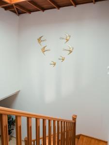 Zdjęcie z galerii obiektu Lanzarote Villa Ascanio w mieście Playa Blanca