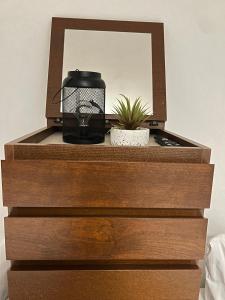 a dresser with a mirror and a plant on it at Apartment Plini in Montabaur +6 photos