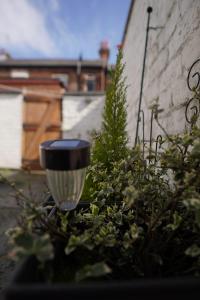 Zahrada ubytování Heaven Chic