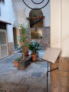 Φωτογραφία από το άλμπουμ του In Vacanza a Gaeta - Eman's House στην Γκαέτα
