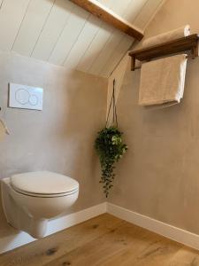 De CocksdorpB&B De Vrijbuiter的一间带卫生间的浴室和墙上的植物