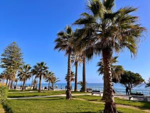 a group of palm trees in a park near the beach at Sun & Fun in Armacao de Pera in Armação de Pêra +5 photos
