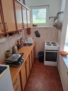 eine kleine Küche mit Herd und Spüle in der Unterkunft Apartment with private yard in Petrovac in Petrovac na Moru + 5 Fotos