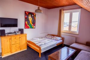 Televízia a/alebo spoločenská miestnosť v ubytovaní Pension Aqualand Free parking