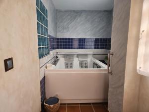 A bathroom at Apartamentos Fuentevieja