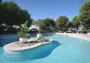a large swimming pool with two potted plants in it at Bungalow Noa in Calpe