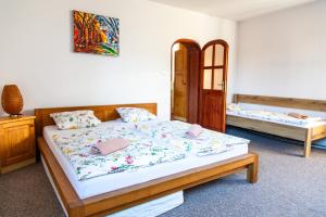Posteľ alebo postele v izbe v ubytovaní Pension Aqualand Free parking