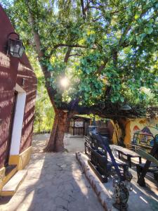 Fotografie z fotogalerie ubytování Andamundos Hostel v destinaci Mina Clavero