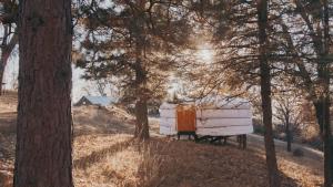 a couple of white tents sitting in the woods at Cosy yurt at a nature retreat in Sequoia Forest in Miramonte