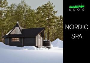 SKOG Aurora igloos talvel