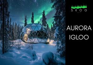 SKOG Aurora igloos talvel