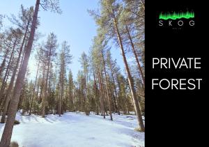 SKOG Aurora igloos talvel