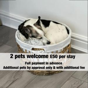 a dog sleeping in a dog bed in a basket at Reindeer Lodge Very Special Retreat With Private Hot Tub Near Cannock Chase By StayStaycations in Colton +29 photos