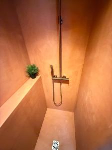 モントルイユにあるVotre écrin méditerranéen aux portes de Parisの鉢植えのバスルーム(シャワー付)