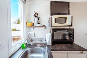 Kuchyňa alebo kuchynka v ubytovaní Bungalow 3 chambres pour 6 pers avec Climatisation Camping 3 etoiles