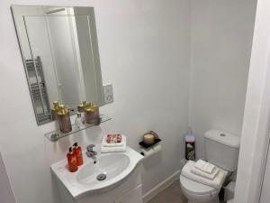 a bathroom with a sink and a toilet and a mirror at Charming 2- Bedroom Apartment in Watford