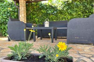 Zahrada ubytování Top Apartment - Haustiere wilkommen