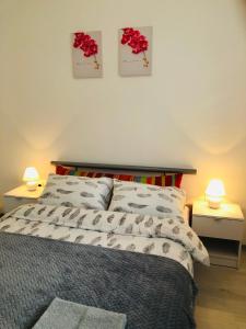 Llit o llits en una habitació de Apartman DB