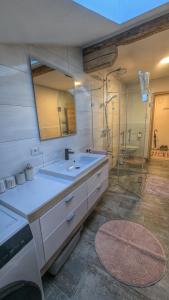 a bathroom with a sink and a mirror and a shower at Heu und Himmel Loft in Innsbruck