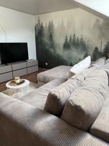 TV a/nebo společenská místnost v ubytování Im Tannenblick