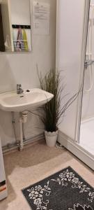 a bathroom with a sink and a shower and a rug at Koselig rom i sentrum Gratis Wifi og Parkering Rom 3 1 etg in Narvik
