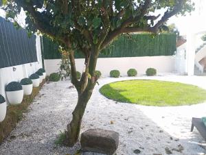 Ogród w obiekcie CASA AMELIA Apartamento Bajo con terraza y jardín Apartamento 1ªPlanta