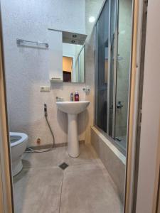 第比利斯Near the opera的带水槽、淋浴和马桶的浴室 更多44张照片