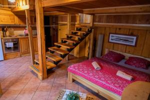 a bedroom with a bunk bed and a ladder at Dovolenkový dom Ela pets friendly in Poprad +21 photos
