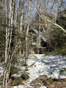 Into the Woods: Discover Our Charming Rustic Treehouse in Dorchester, NH durante el invierno