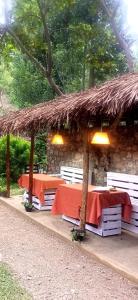 Zahrada ubytování Ella Foret accomodation