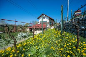 Zahrada ubytování Apartment Bastaja