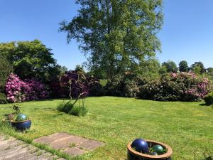 a garden with two bowls of balls in the grass at Ferienhaus im Birkenweg in Worpswede +5 photos