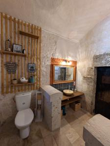 un bagno con un water e un lavandino di Le Donjon Beauvoir - appartement insolite au centre de Blois a Blois