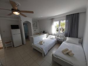 a living room with two beds and a kitchen at Dandelion Paros Apartments I-II in Kóstos