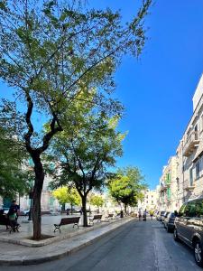 eine Straße mit Bänken und Bäumen auf einer Stadtstraße in der Unterkunft La Stella e u' Marnèr Casa Vacanze Vacation Rental in Giovinazzo