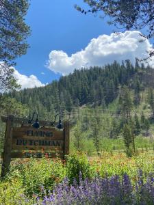 a sign in a field of flowers at Flying Dutchman 1192 by SummitCove Lodging in Keystone