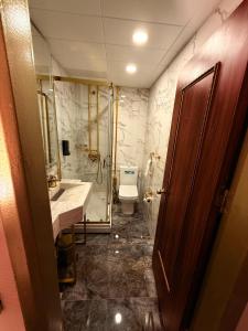 a bathroom with a toilet and a sink and a shower at Green Anka Hotel in Istanbul