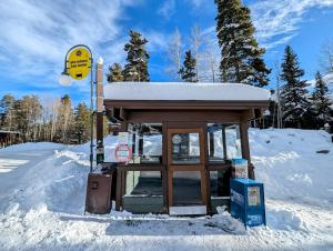 Wild Irishman 1032 with SummitCove Lodging v zimě