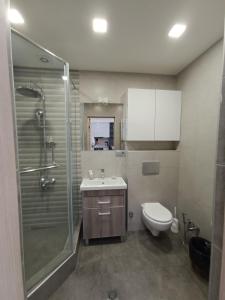 a bathroom with a shower and a sink and a toilet at Rent Inn Yerevan on Koghbaci Street in Yerevan +27 photos
