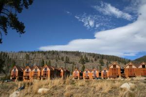 une rangée de maisons dans un champ arboré dans l'établissement Antlers Gulch 502 by SummitCove Lodging, à Keystone