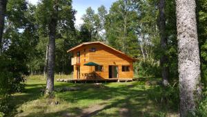 a wooden cabin in the middle of a forest at Cabaña en Pucon in Pucón