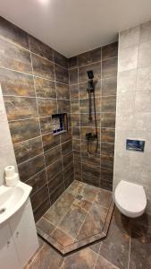 a bathroom with a shower with a toilet and a sink at Edelweiss Vila Šventoji in Šventoji +50 photos