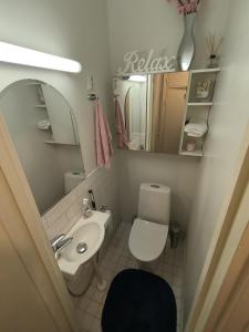 a bathroom with a sink and a toilet and a mirror at Spacious and bright apartment for 4 in Helsinki +1 photo