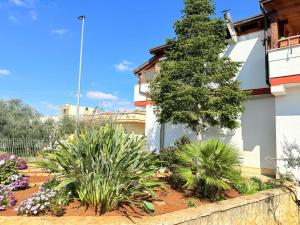 Κήπος έξω από το Apulia Comfort apartment