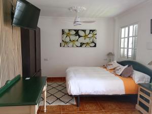 Gallery image of Solo adultos, Las Tuneras Rooms in La Oliva