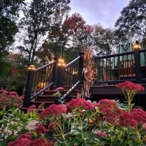 un escalier dans un jardin avec des fleurs roses dans l'établissement Mystic, Foxwoods, Beaches, Waterpark, Hells Kitchen!, à North Stonington